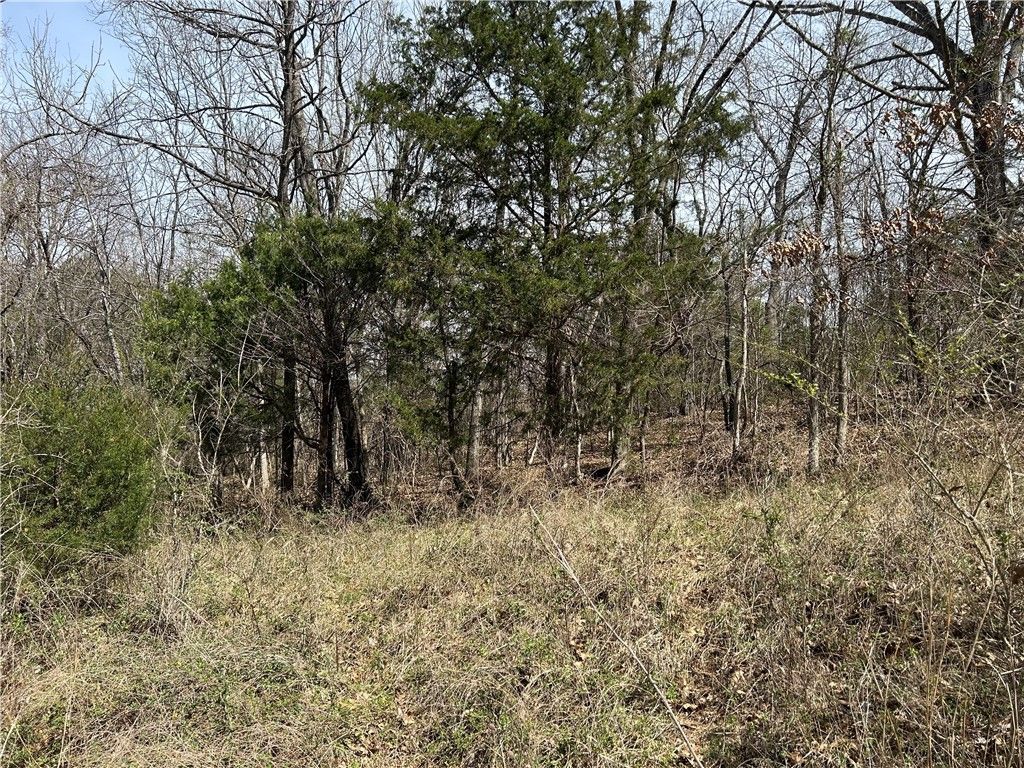 Tbd Trammell (lot 6) Drive, Lowell, AR 72745 Main Photo