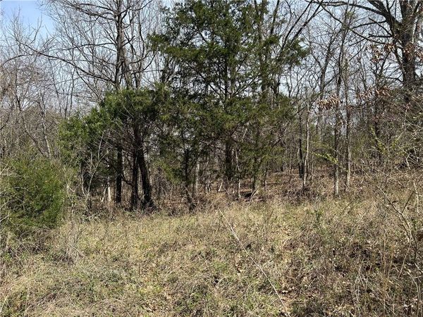 TBD Trammell (Lot 6) Drive, Lowell, AR 72745