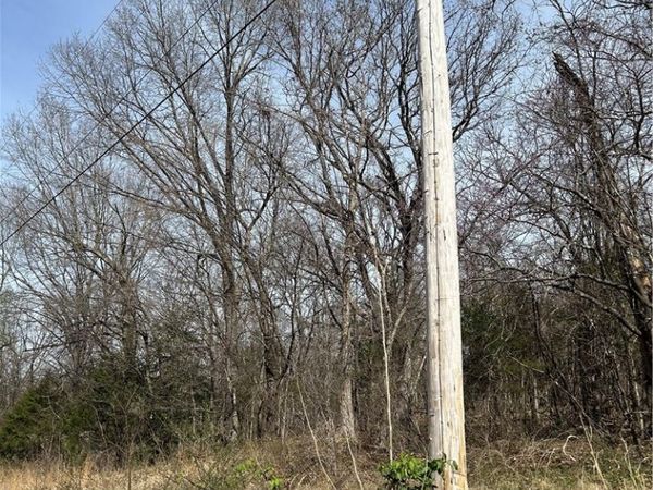 TBD Trammell (Lot 8) Drive, Lowell, AR 72745