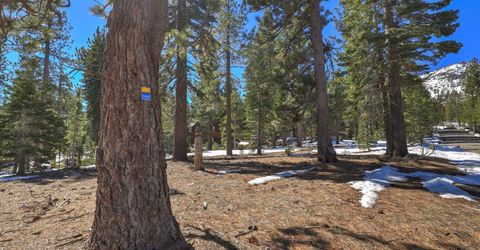 641 Yucatan Street, South Lake Tahoe, CA 96150 Photo