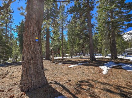 641 Yucatan Street, South Lake Tahoe, CA 96150 Photo