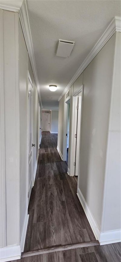 960 Still Road, Pierson, FL 32180 Photo