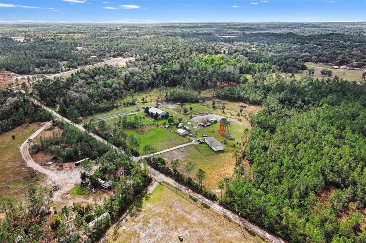 960 Still Road, Pierson, FL 32180 Photo