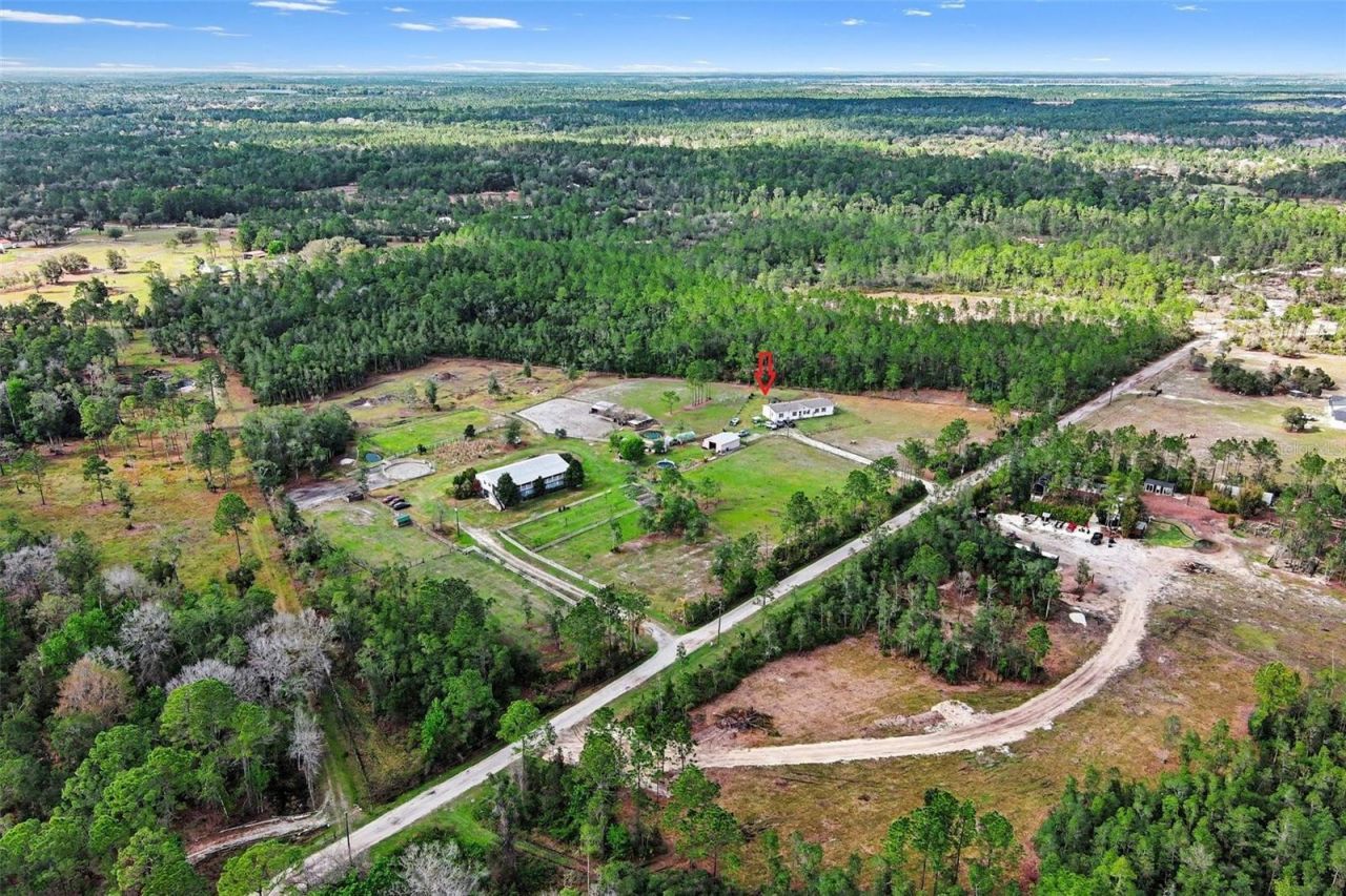 960 Still Road , Unit 1, Pierson, FL 32180 Photo