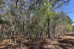 Lot 2 Mimosa Drive photo 4