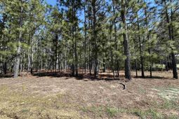 Lot 1 Mimosa Drive photo 4