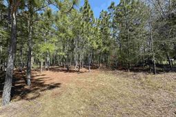 223 Mimosa Drive photo 4