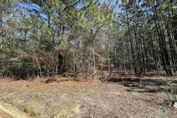 223 Mimosa Drive photo 4