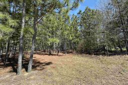 223 Mimosa Drive photo 4