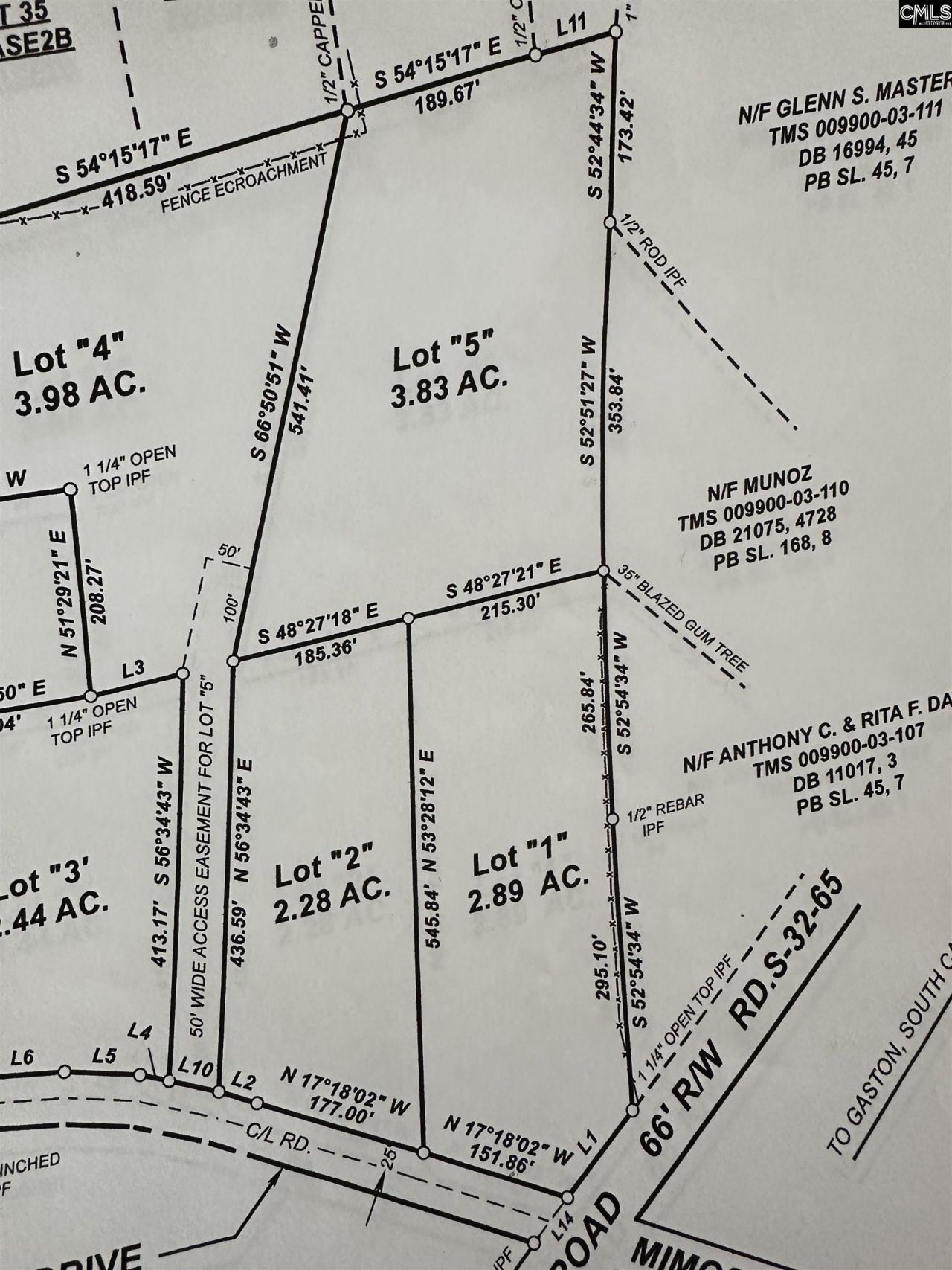 223 Mimosa Drive Photo 7