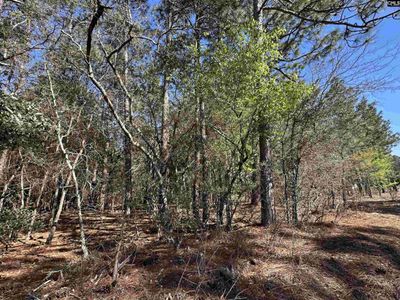 Lot 9 Mimosa Drive, Unit 9, Gaston, SC 29053