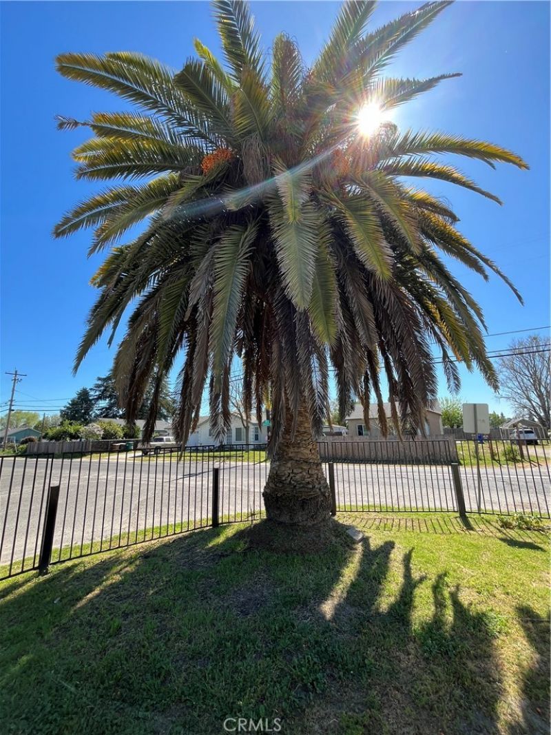 7114 Myrtle, Winton, CA 95388 Main Photo