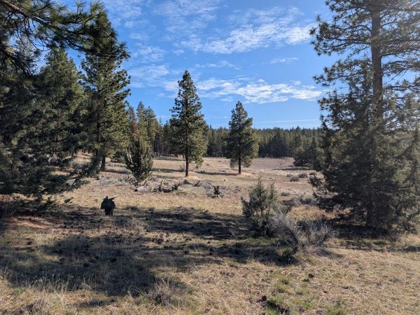 28660 Yonna Wood Road, Bonanza, OR 97623