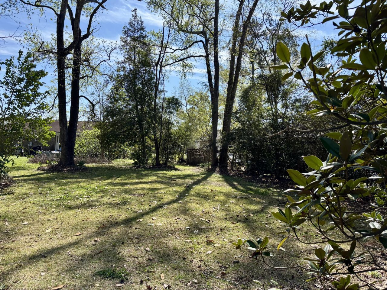 246 Columbia Drive Photo 26