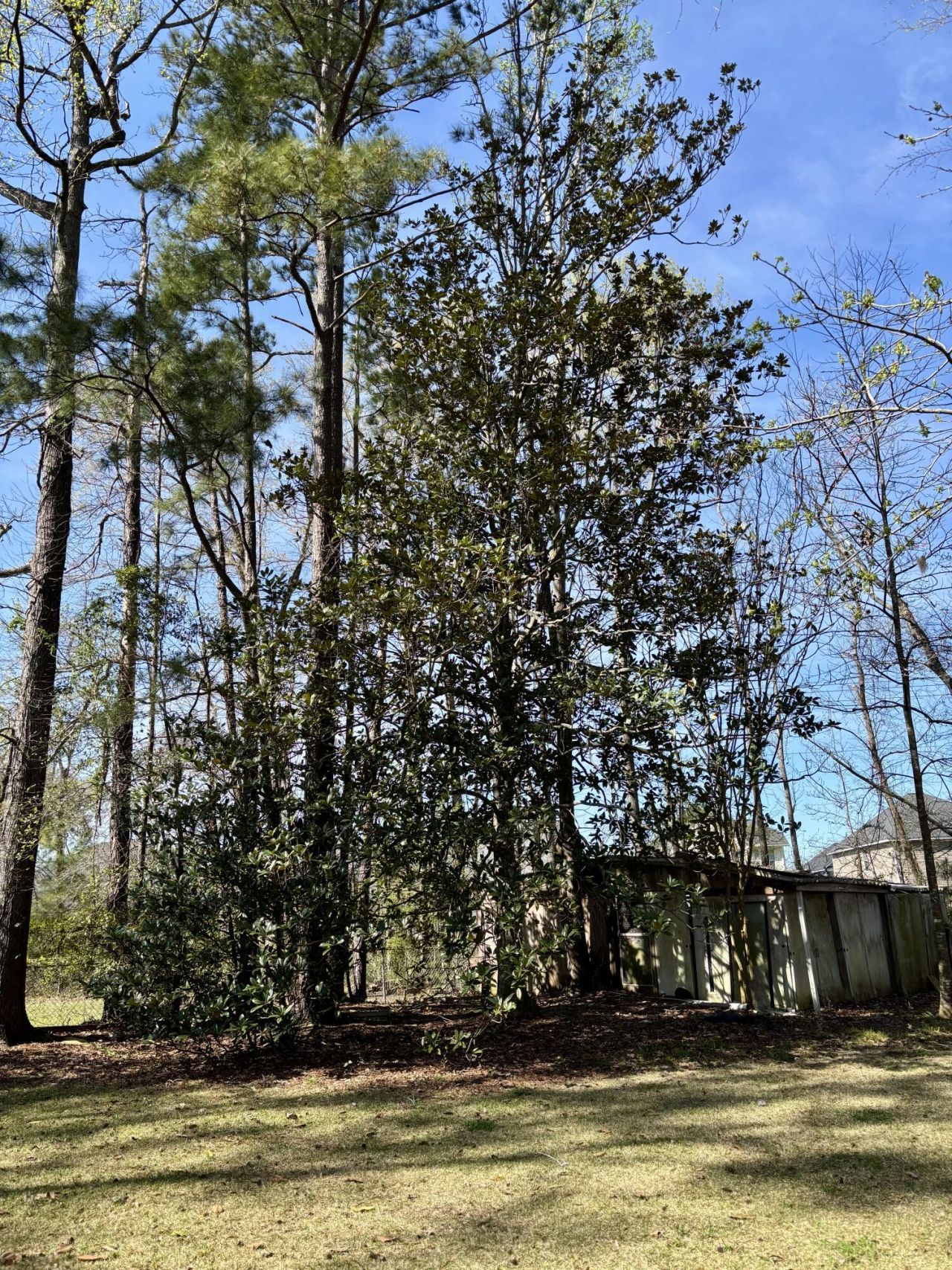 246 Columbia Drive Photo 27