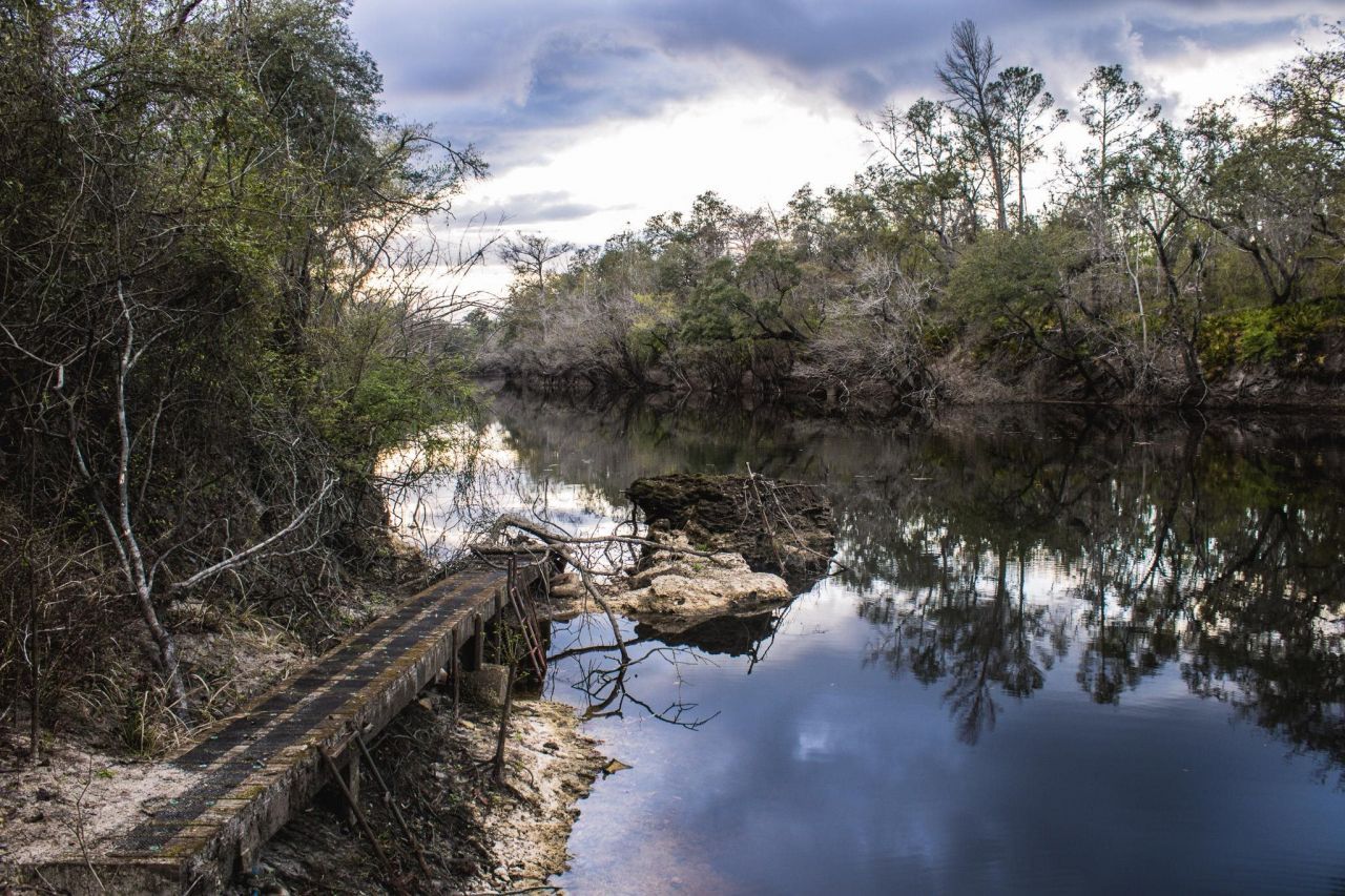 245 NE East Peppermint Trail , Pinetta, FL 32350 Photo