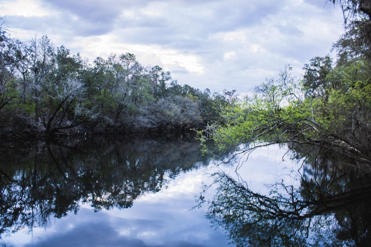 245 NE East Peppermint Trail , Pinetta, FL 32350 Photo