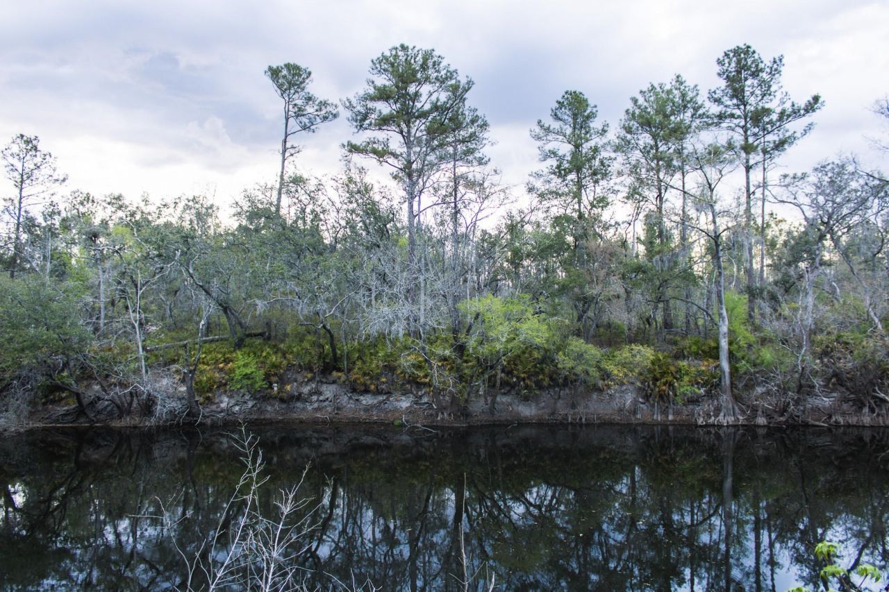 245 NE East Peppermint Trail , Pinetta, FL 32350 Photo