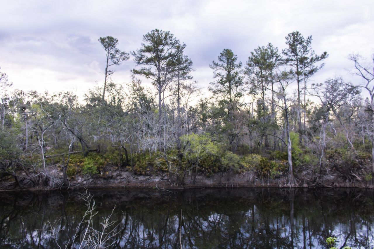 245 NE East Peppermint Trail , Pinetta, FL 32350 Photo