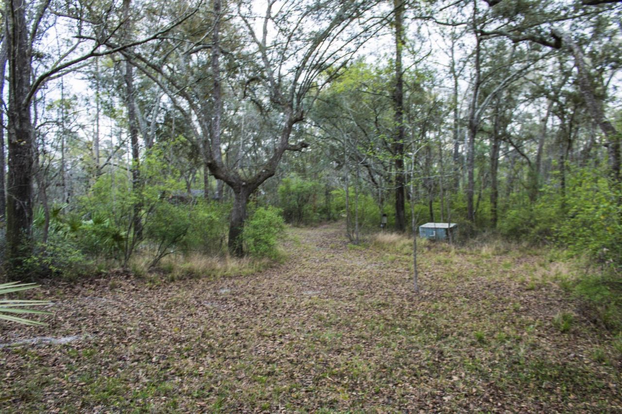 245 NE East Peppermint Trail , Pinetta, FL 32350 Photo