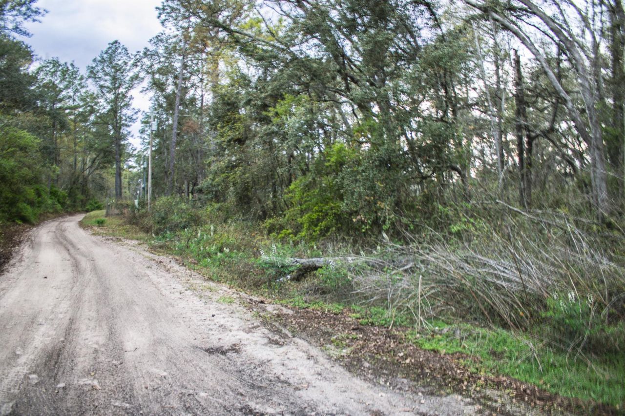 245 NE East Peppermint Trail , Pinetta, FL 32350 Photo