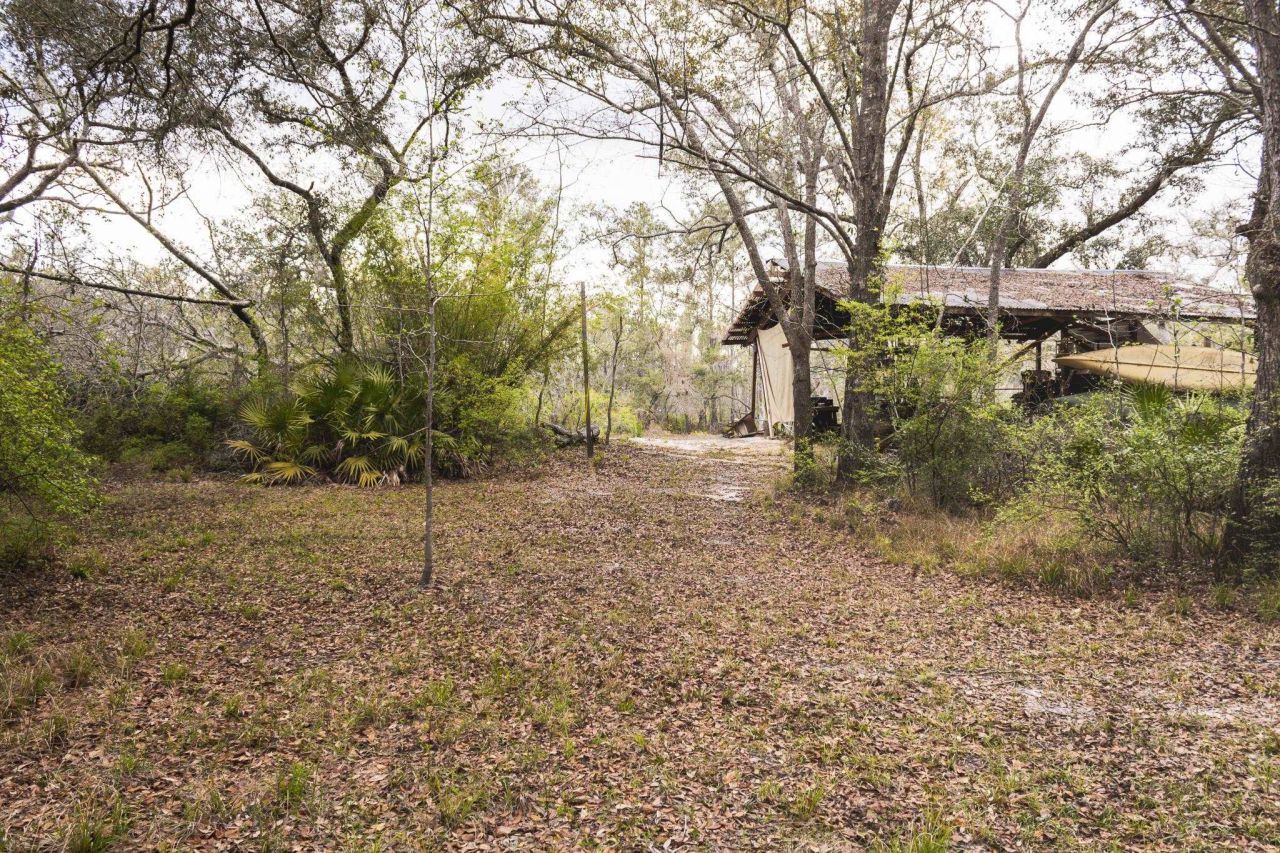 245 NE East Peppermint Trail , Pinetta, FL 32350 Photo