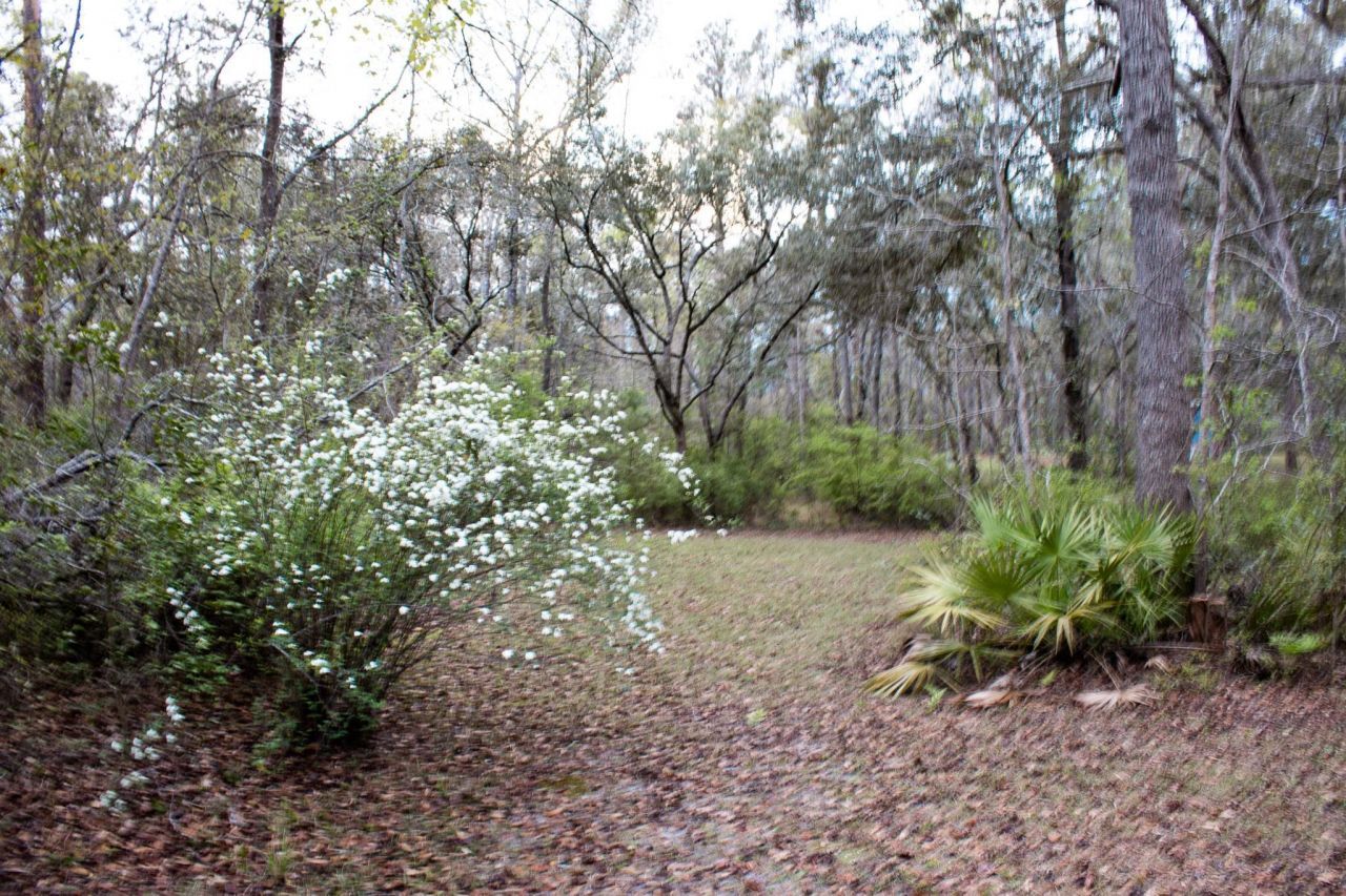 245 NE East Peppermint Trail , Pinetta, FL 32350 Photo