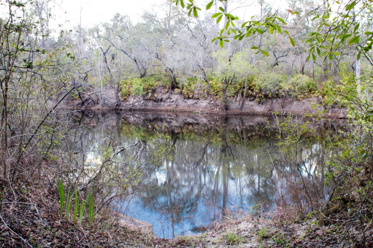 245 NE East Peppermint Trail , Pinetta, FL 32350 Photo