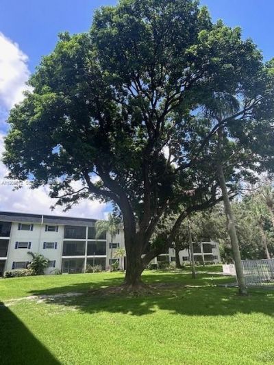5100 SW 64th Ave, Unit 202, Davie, FL 33314 Photo