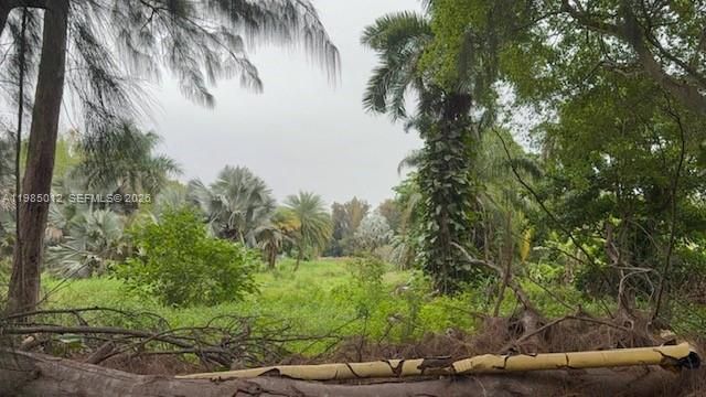 5100 SW 64th Ave , Unit 202, Davie, FL 33314 Photo