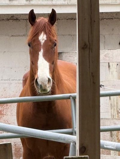 5100 SW 64th Ave, Unit 202, Davie, FL 33314 Photo