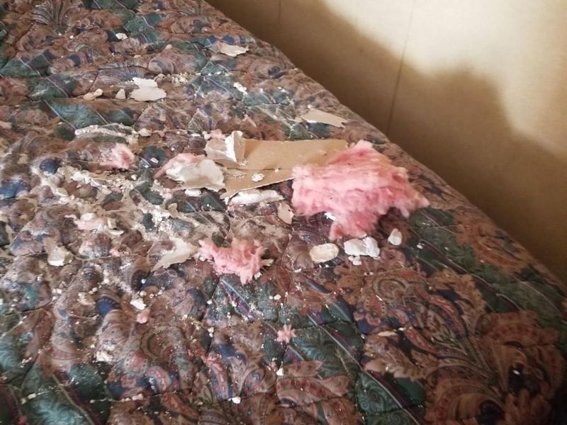 888 Lorain Boulevard, Elyria, OH 44035 Photo 65