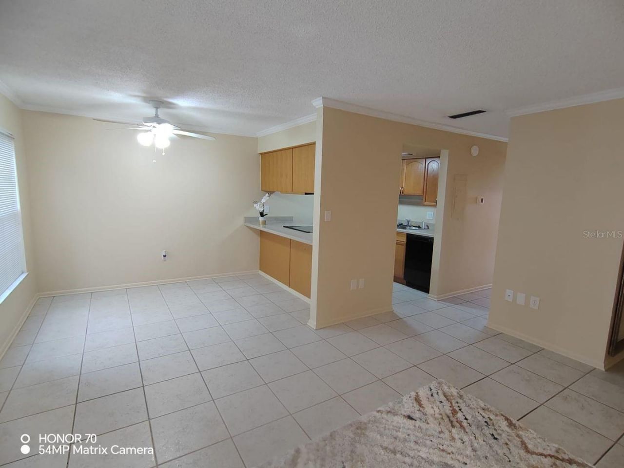 1044 82nd Terrace N, Unit 1044D, Saint Petersburg, FL 33702 Photo