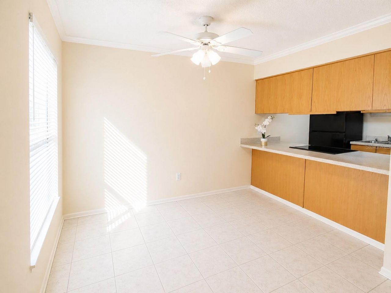 1044 82nd Terrace N, Unit 1044D, Saint Petersburg, FL 33702 Photo