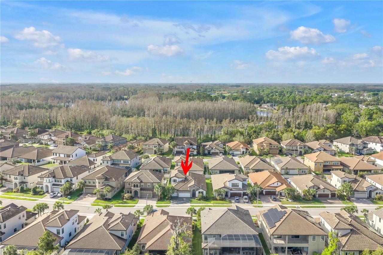 21758 Amelia Rose Way , Land O Lakes, FL 34637 Photo