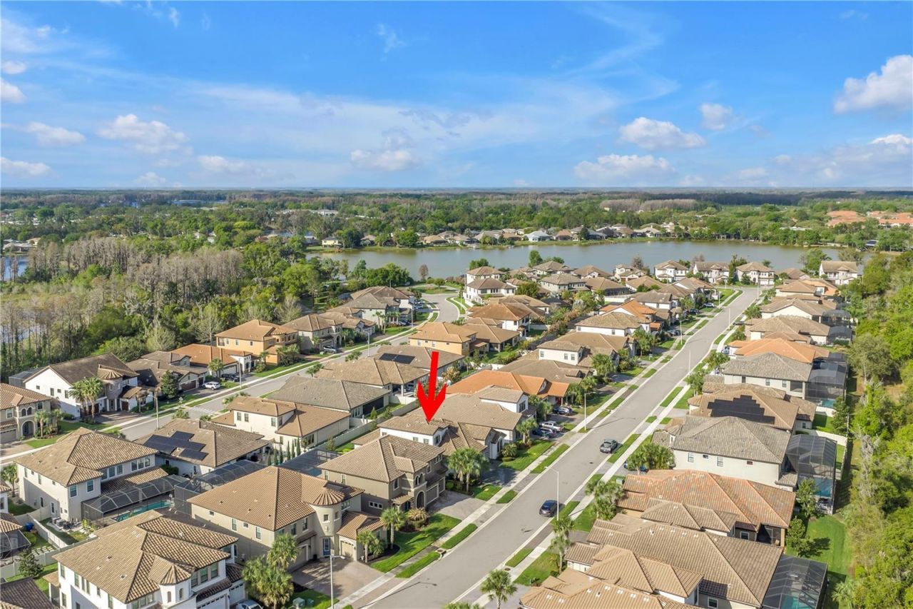 21758 Amelia Rose Way , Land O Lakes, FL 34637 Photo