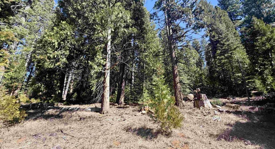 7400 Highway 147, Lake Almanor, CA 96137 Photo