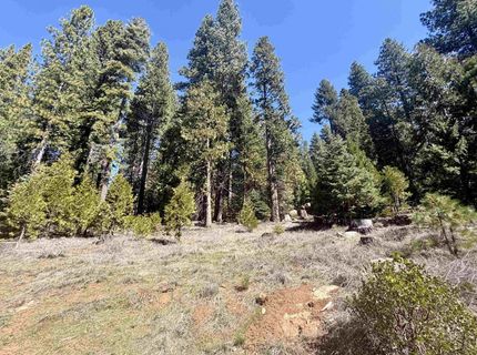 7400 Highway 147, Lake Almanor, CA 96137 Photo