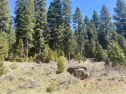 7400 Highway 147, Lake Almanor, CA 96137 Photo