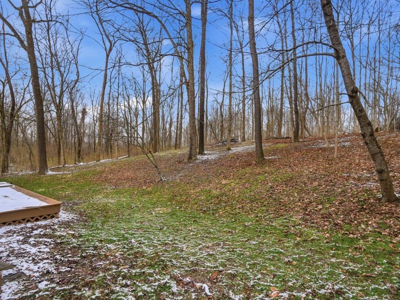 180 Country Road, Urbana, OH 43078 Photo 47