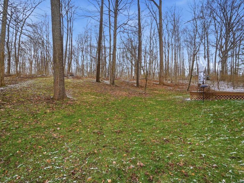 180 Country Road, Urbana, OH 43078 Photo 48