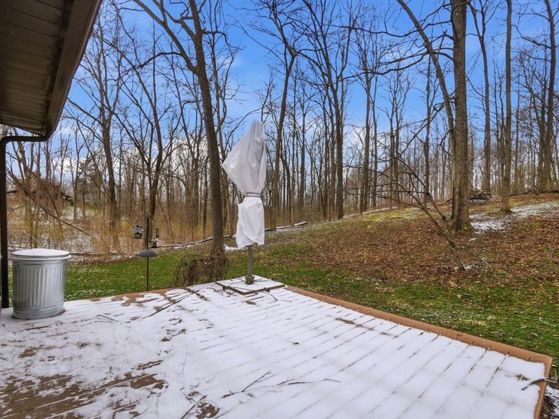 180 Country Road, Urbana, OH 43078 Photo 50