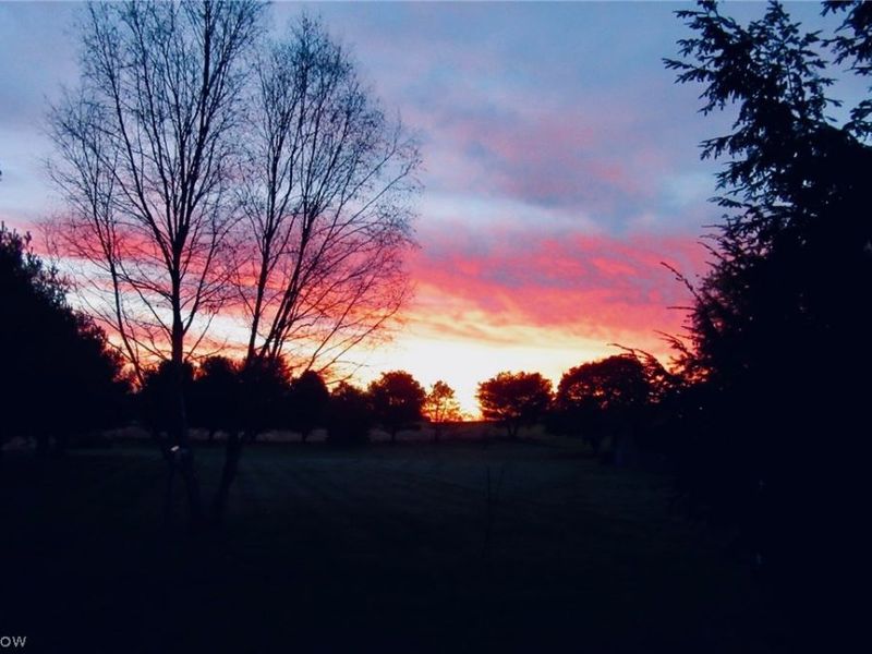 4576 Alabama Avenue SW, Navarre, OH 44662 Photo 35