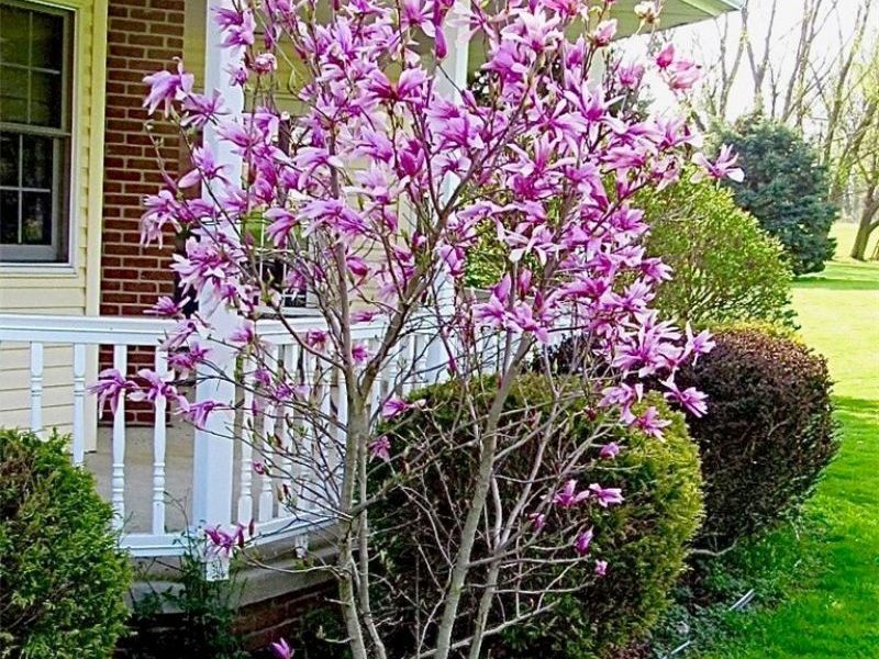 4576 Alabama Avenue SW, Navarre, OH 44662 Photo 36