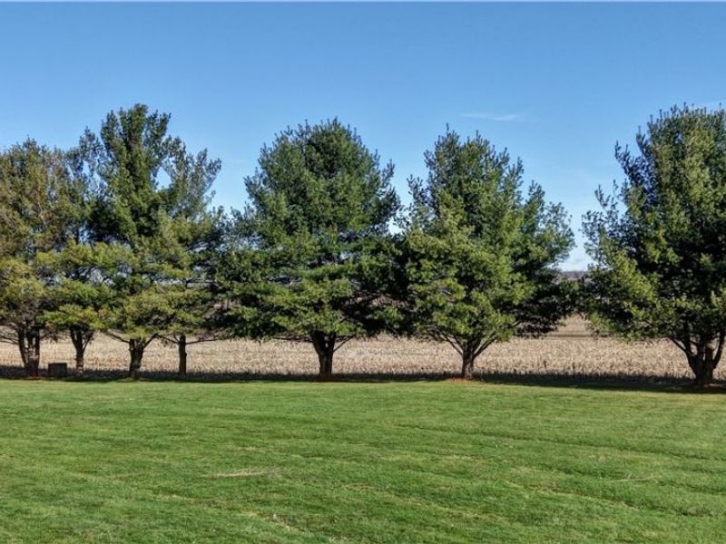 4576 Alabama Avenue SW, Navarre, OH 44662 Photo 39