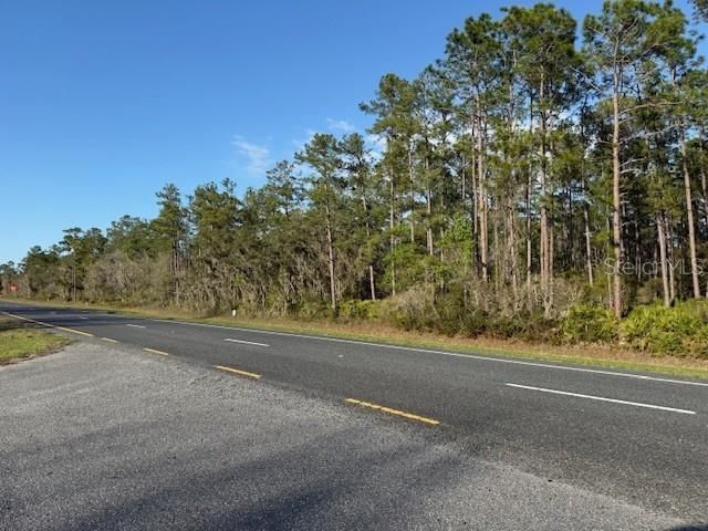 Tbd Us 19 , Inglis, FL 34449 Photo