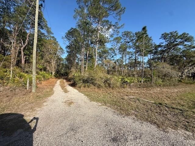 Tbd Us 19 , Inglis, FL 34449 Photo