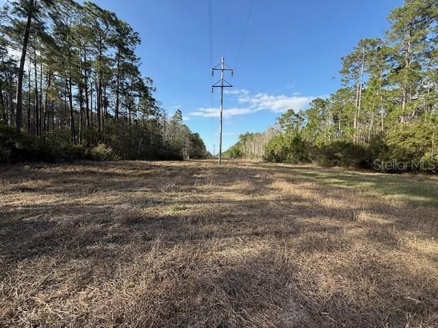 Tbd Us 19 , Inglis, FL 34449 Photo