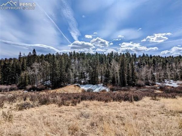 1620 Park Ridge Drive, Guffey, CO 80820
