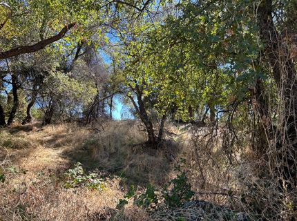 3423 Vallecito Bypass Rd, Vallecito, CA 95251 Photo